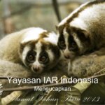 Selamat Tahun Baru 2013