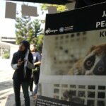 Kampanye Selamatkan Kukang di Bandung