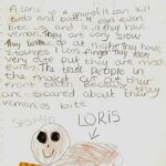 Tulisan Menggemaskan Tentang Kukang Dari Ciara Finlay di Liverpool