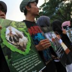 Foto Kampanye Kukang : Cinta Tak Harus Memiliki