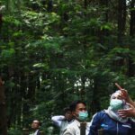 Ketum IAR Indonesia: Kukang Sulit Jadi Hewan Peliharaan