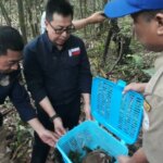 Ironi Kader Konservasi Jadi Tersangka Perdagangan Satwa