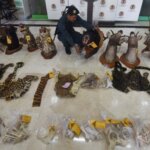 Polisi Cokok 2 Pelaku Penjual Satwa Dilindungi Secara Online