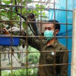 Mengerikan! Satwa Langka Dijual Bebas di Indonesia