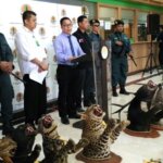 Penegakan Hukum Terpadu Mulai Didorong untuk Penanganan Perdagangan Satwa Ilegal. Seperti Apa?