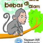 PEMBERITAHUAN KEPADA PERS  “Biarkan Monyet Bebas di Alam”