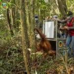 Pulih dari Luka, Marisa Dipulangkan ke TANAGUPA