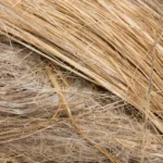 Mengenal Serat Alam: Definisi, Jenis, dan Contohnya