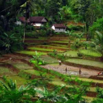 8 Contoh Ekowisata di Indonesia: Menikmati Alam Sambil Menjaga Kelestariannya