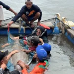 Keberhasilan Rescue Dugong di Perairan Pulau Cempedak, Ini Kisahnya!