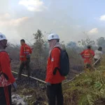The Power of Mama: Ibu-Ibu Garda Terdepan Penjaga Hutan
