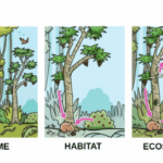 Perbedaan antara Habitat, Ekosistem, dan Bioma, Apa Saja?